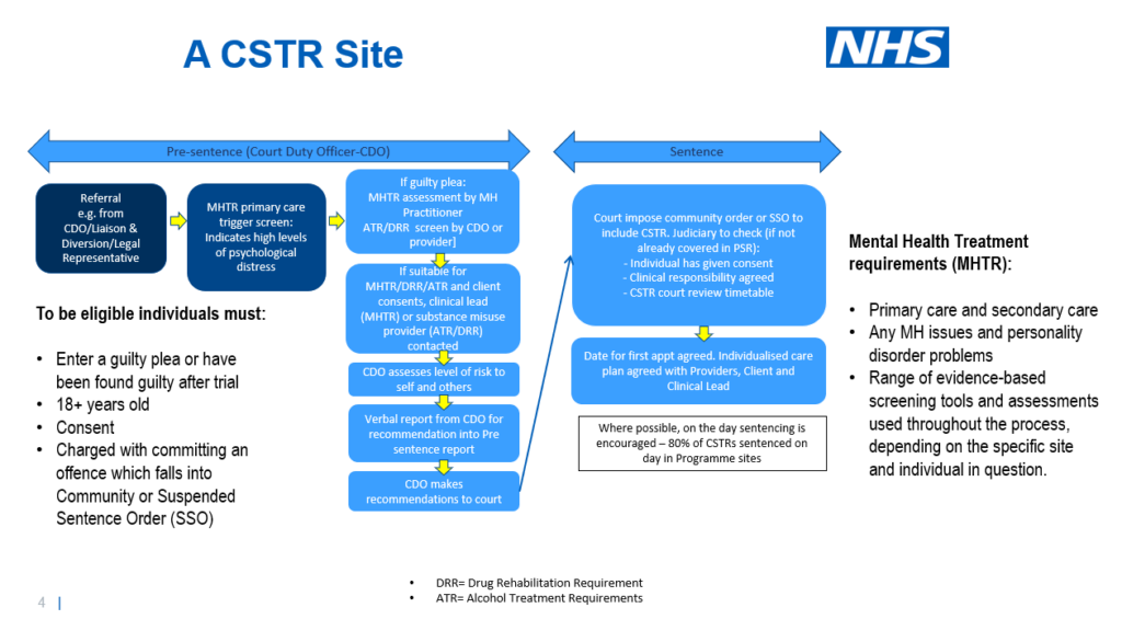 cjs webinar snap